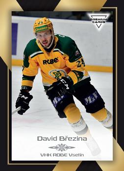 2020-21 Premium Cards CHANCE liga #316 David Brezina Front