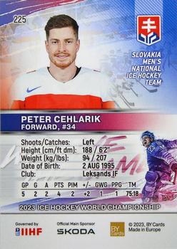 2023 BY Cards IIHF World Championship #225 Peter Cehlarik Back