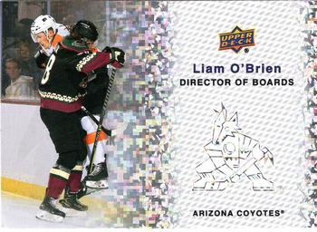 2023-24 Upper Deck - Director of Boards Sparkle #DB-7 Liam O'Brien Front