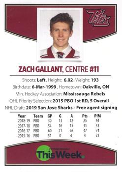 2019-20 Peterborough Petes (OHL) #NNO Zach Gallant Back
