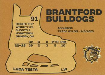 2023-24 Brantford Bulldogs (OHL) #NNO Luca Testa Back