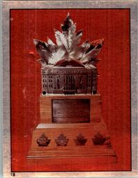 1981-82 O-Pee-Chee Stickers #19 Conn Smythe Trophy Front
