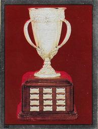 1981-82 O-Pee-Chee Stickers #262 Calder Trophy Front