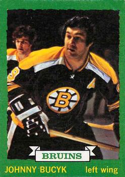 1973-74 O-Pee-Chee #147 Johnny Bucyk Front