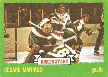 1973-74 Topps #146 Cesare Maniago Front