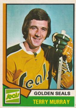1974-75 O-Pee-Chee #126 Terry Murray Front