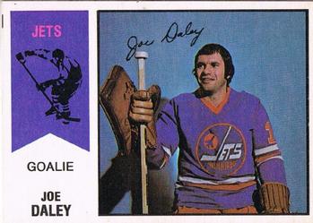 1974-75 O-Pee-Chee WHA #38 Joe Daley Front