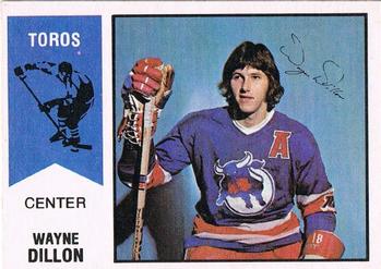 WHA 1973-74 Toronto Toros Wayne Carleton 9 Away Hockey Jersey — BORIZ