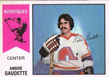 1974-75 O-Pee-Chee WHA #46 Andre Gaudette Front