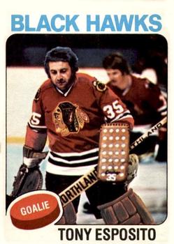 1975-76 O-Pee-Chee #240 Tony Esposito Front