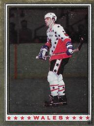 1982-83 O-Pee-Chee Stickers #167 Peter Stastny Front