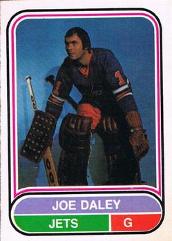 1975-76 O-Pee-Chee WHA #101 Joe Daley Front