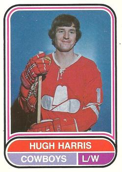 1975-76 O-Pee-Chee WHA #118 Hugh Harris Front