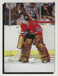 1984-85 O-Pee-Chee Stickers #32 Murray Bannerman Front