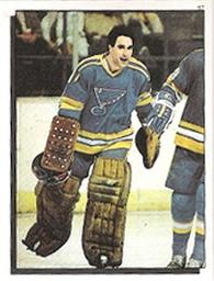1984-85 O-Pee-Chee Stickers #57 Mike Liut Front