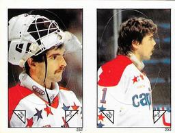 1984-85 O-Pee-Chee Stickers #232 / 233 Al Jensen / Pat Riggin Front