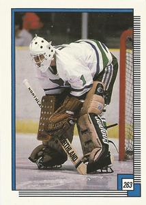 1988-89 O-Pee-Chee Stickers #263 Mike Liut Front