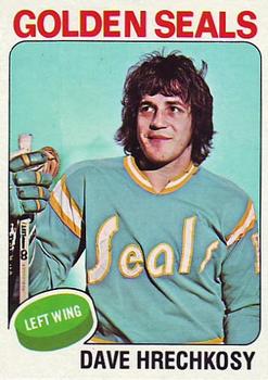 1975-76 Topps #156 Dave Hrechkosy Front