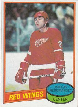 SOLD 1979-80 NHL Detroit Red Wings # 20 Vaclov Nedomansky Game Worn Jersey