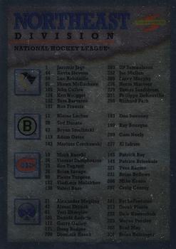 1995-96 Score - Black Ice #329 Checklist (Northeast Division) Front