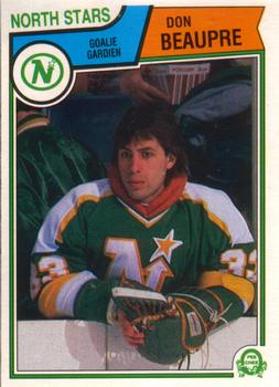 Minnesota North Stars - 1983-84 Season Recap 
