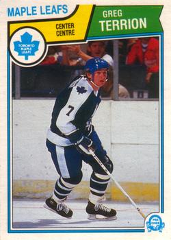 1983-84 O-Pee-Chee #342 Greg Terrion Front
