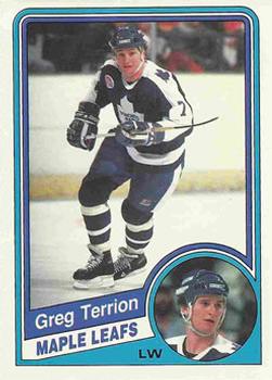 1984-85 O-Pee-Chee #312 Greg Terrion Front