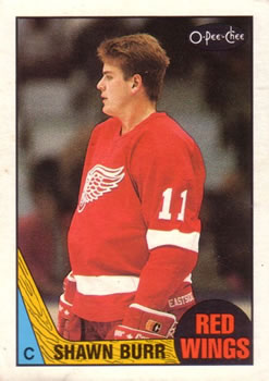 1987-88 O-Pee-Chee #164 Shawn Burr Front