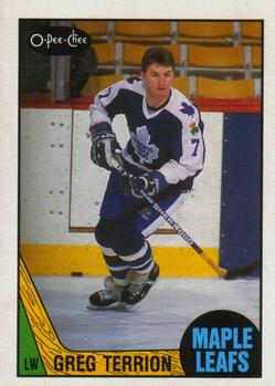 1987-88 O-Pee-Chee #241 Greg Terrion Front