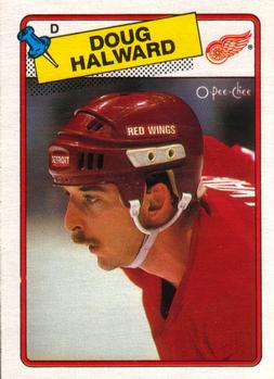 1988-89 O-Pee-Chee #113 Doug Halward Front
