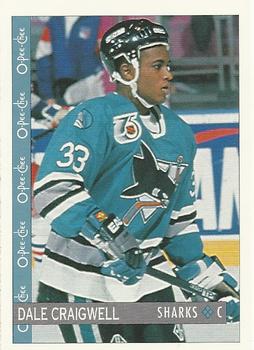 1992-93 O-Pee-Chee #271 Dale Craigwell Front