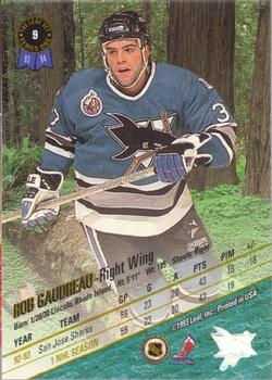 1993-94 Leaf #9 Rob Gaudreau Back