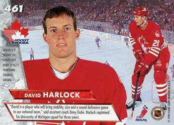 1995-96 David Harlock AHL All Star Game Worn Jersey – “60-year AHL  Anniversary”