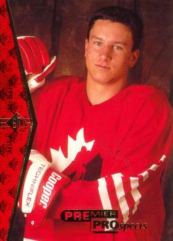 1994-95 SP #176 Mike McBain Front