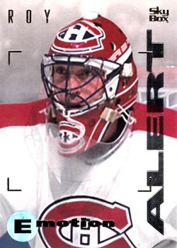 1995-96 SkyBox E-Motion #91 Patrick Roy Front