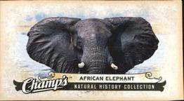 2008-09 Upper Deck Champ's - Mini #C292 African Elephant Front