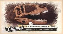 2008-09 Upper Deck Champ's - Mini #C330 Carcharodontosaurus Front