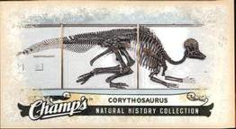 2008-09 Upper Deck Champ's - Mini #C341 Corythosaurus Front