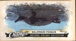 2008-09 Upper Deck Champ's - Mini #C365 Galapagos Penguin Front