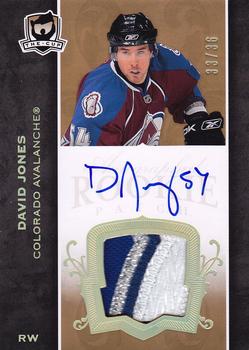 2007-08 Upper Deck The Cup - Gold Rainbow Autographed Rookie Patches #173 David Jones Front