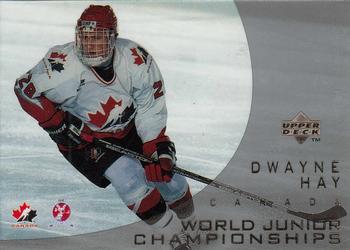 1996-97 Upper Deck Ice #123 Dwayne Hay Front