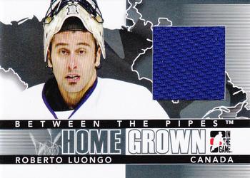 2009-10 In The Game Between The Pipes - Homegrown Black #HG-04 Roberto Luongo  Front