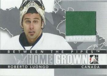 2009-10 In The Game Between The Pipes - Homegrown Silver #HG-04 Roberto Luongo  Front
