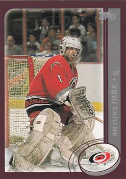 2002-03 Topps #254 Arturs Irbe Front