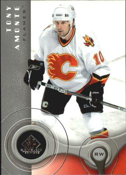2005-06 SP Game Used #17 Tony Amonte Front