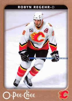 2006-07 O-Pee-Chee #69 Robyn Regehr Front