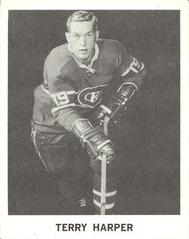 1965-66 Coca-Cola NHL Players #NNO Terry Harper Front