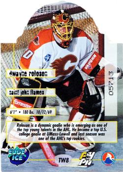 1995-96 Edge Ice - The Wall #TW8 Dwayne Roloson  Back