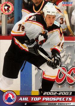 2002-03 Choice AHL Top Prospects #13 Shane Endicott Front