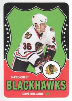 2010-11 O-Pee-Chee - Retro Blank Back #NNO Dave Bolland  Front